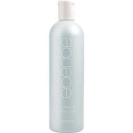 Aquage By Aquage Equalizing Detangler 12 Oz For Anyone