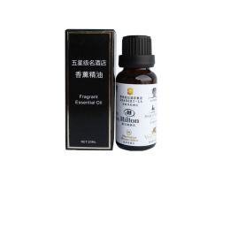 Hotel-specific Concentrated Supplementary Plant Aromatherapy Essential Oils (Option: Ice Age-20ML)