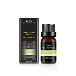 Organic Essential Oils Set Top Sale 100 Natural Therapeutic Grade Aromatherapy Oil Gift kit for Diffuser (Option: Green tea essential oil)